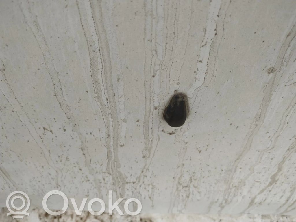 Difusor de agua regadora de parabrisas