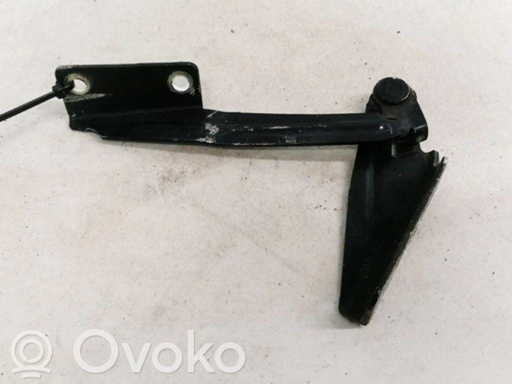 Ford Focus Konepellin saranat 