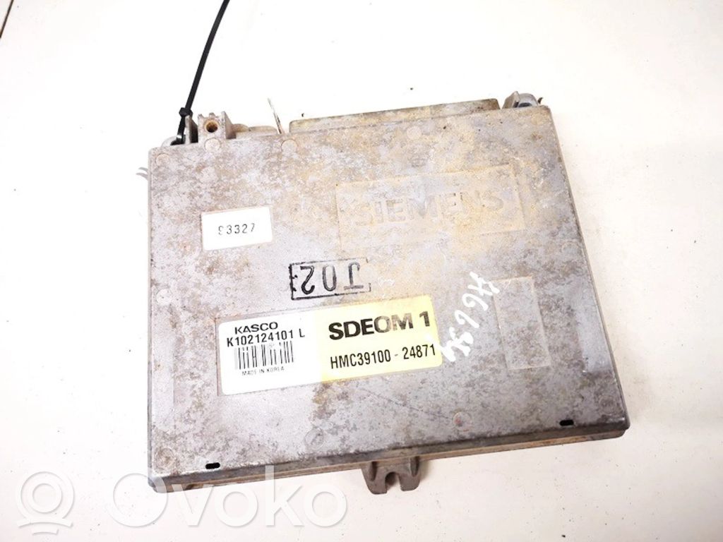 Hyundai Lantra I Engine control unit/module 