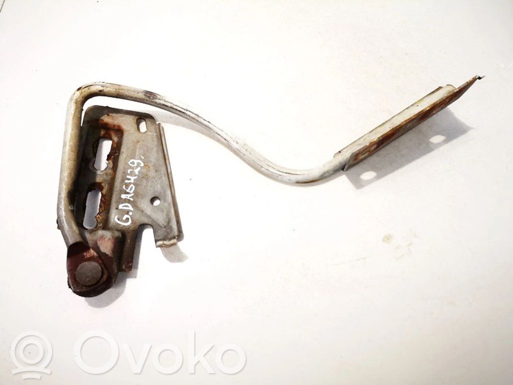 Ford Transit Aizmugurējā pārsega eņģe (-ess)