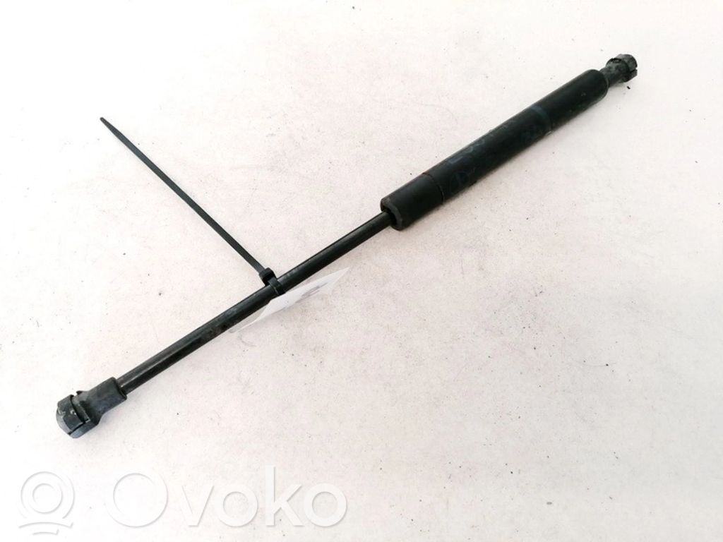 BMW 5 E39 Ammortizzatore portellone anteriore/cofano