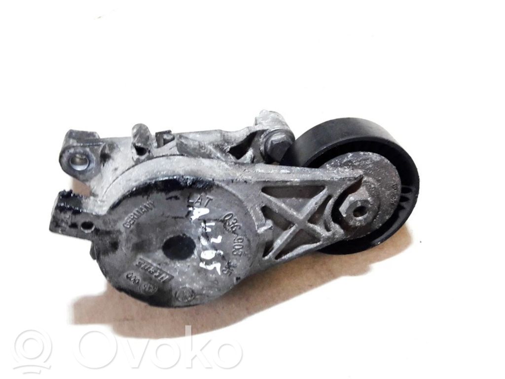 Volkswagen PASSAT B6 Întinzător curea generator/alternator 