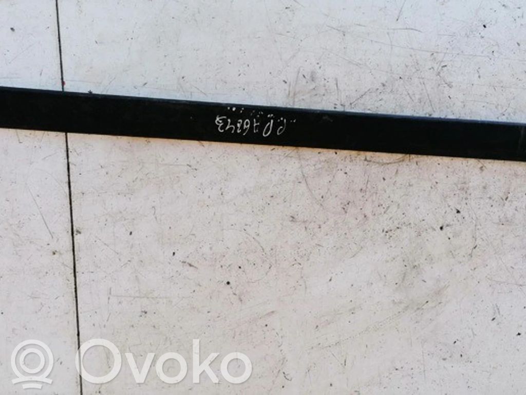 Toyota Corolla E120 E130 Rivestimento della portiera anteriore (modanatura) 
