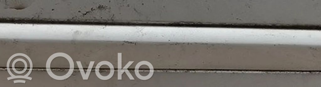 Renault Clio III Rivestimento della portiera anteriore (modanatura) 