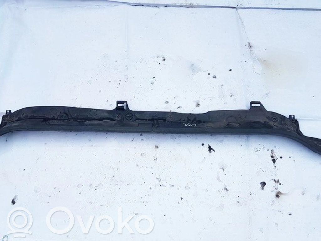 Renault Clio III Zierleiste Scheibenwischer 