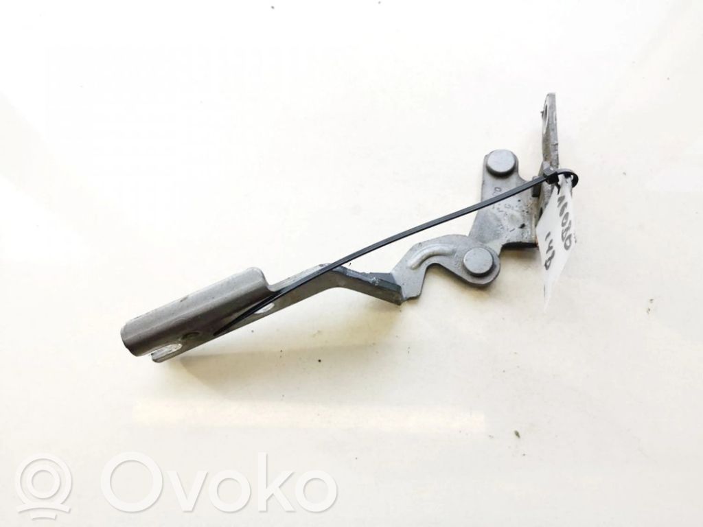Citroen C5 Balamale capotă 