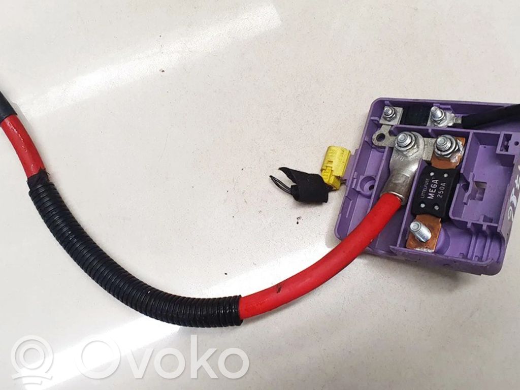 Cable positivo (batería)   6928944,18759,18759,6928944