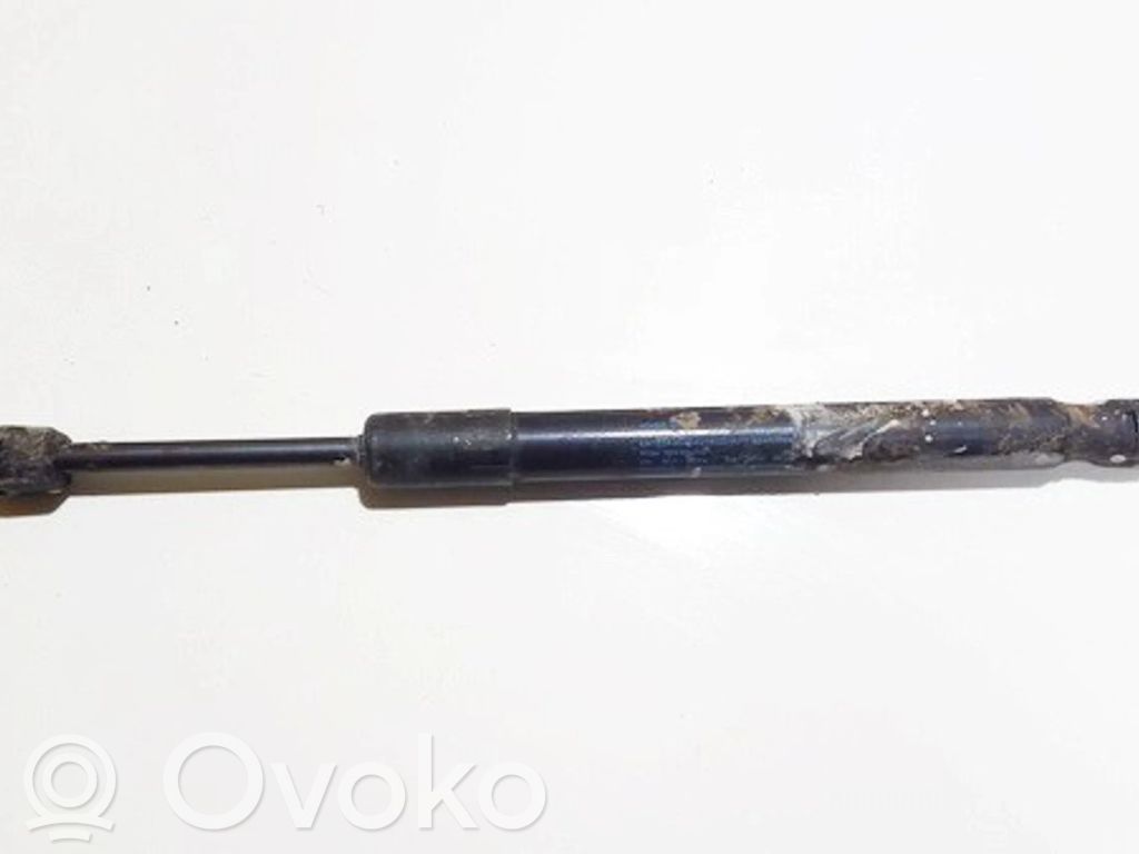 Audi A6 S6 C6 4F Ammortizzatore portellone posteriore/bagagliaio