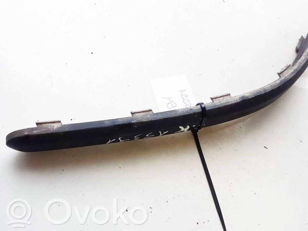 Ford Fusion Ornament bară spate 