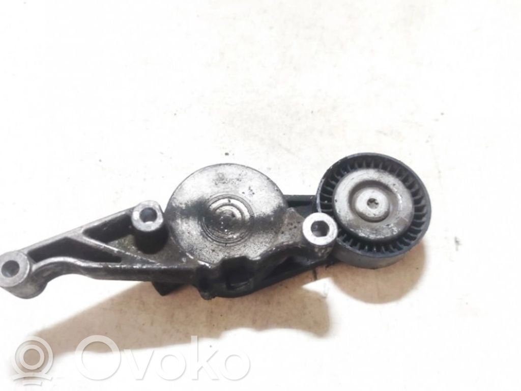 Seat Leon (1P) Întinzător curea generator/alternator 
