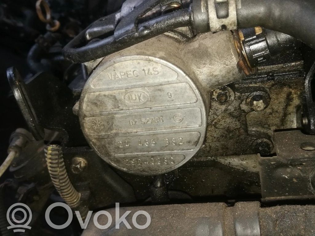 Opel Signum Pompa a vuoto