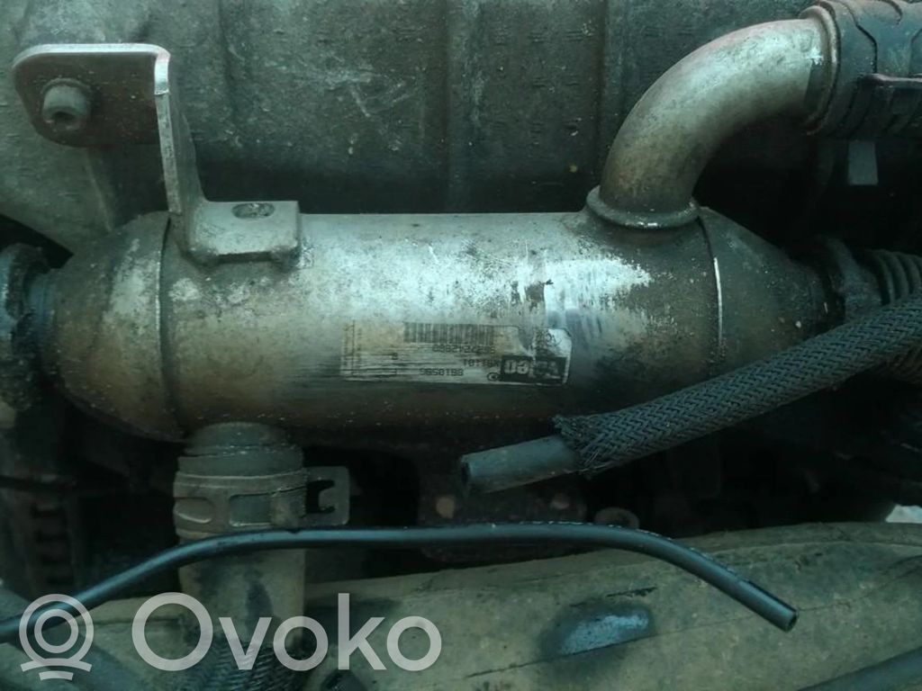 Peugeot 406 Răcitor supapă EGR 