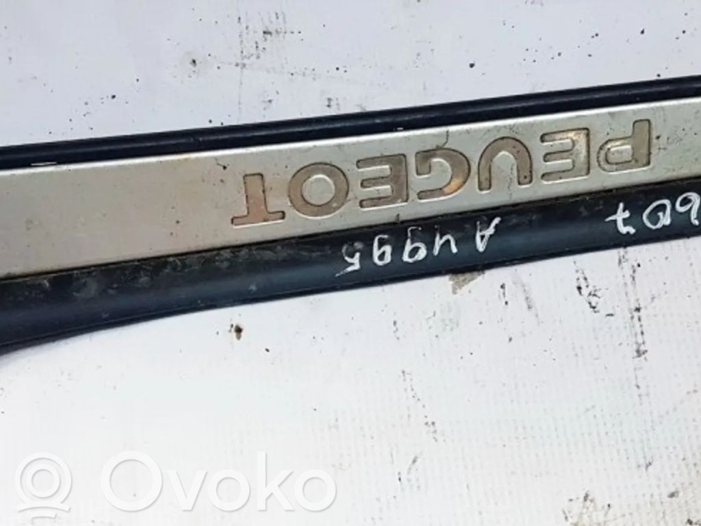Peugeot 607 Copertura del rivestimento del sottoporta posteriore