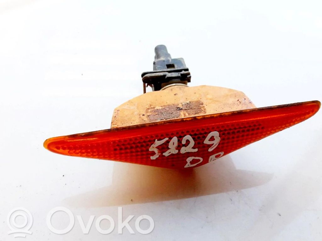 Ford Focus Seitenblinker 
