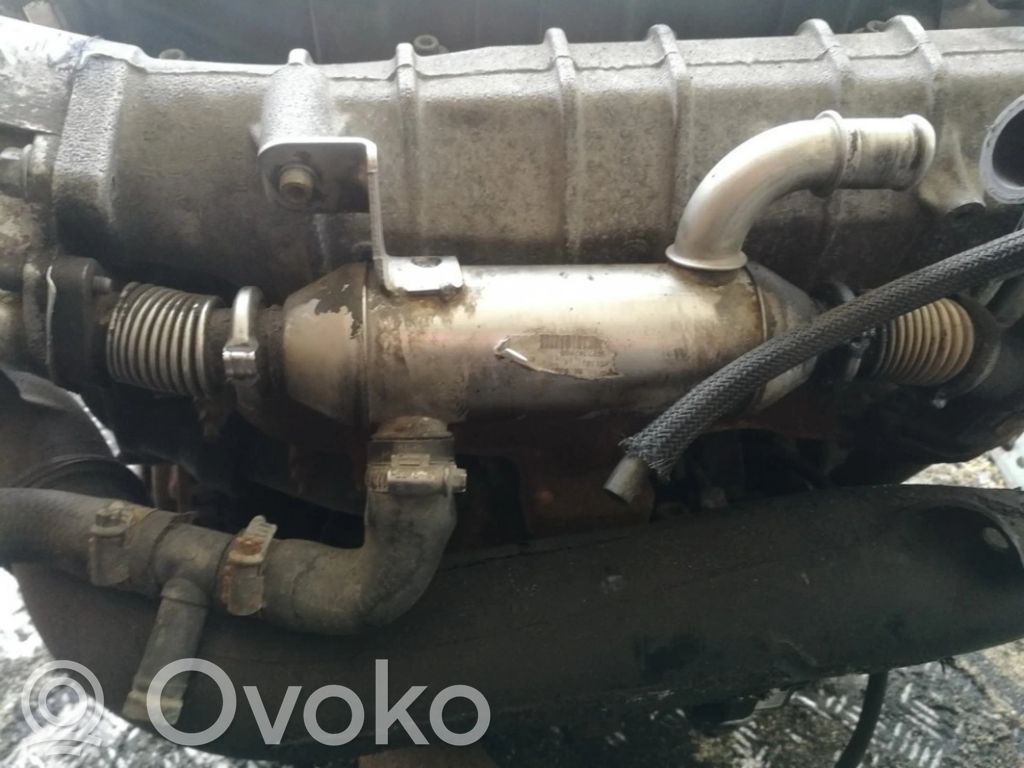 Peugeot 406 Răcitor supapă EGR 