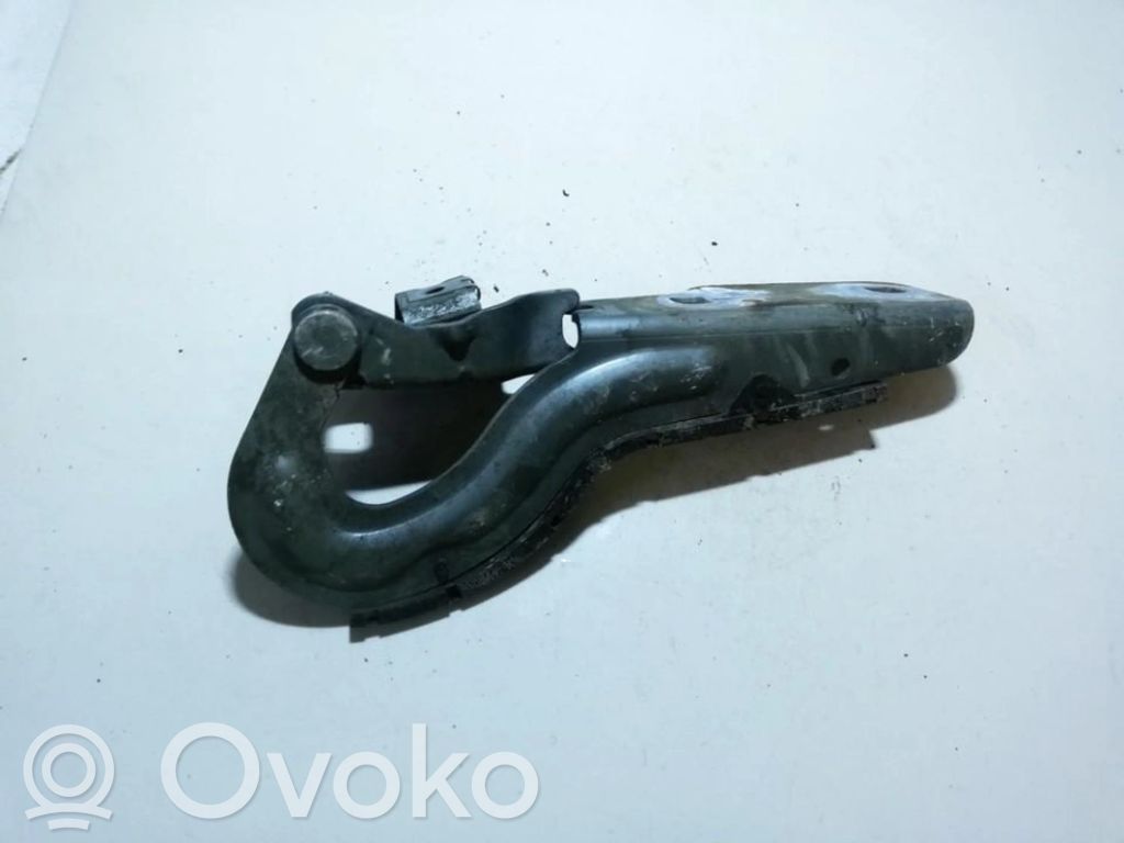 Renault Scenic I Balamale capotă 