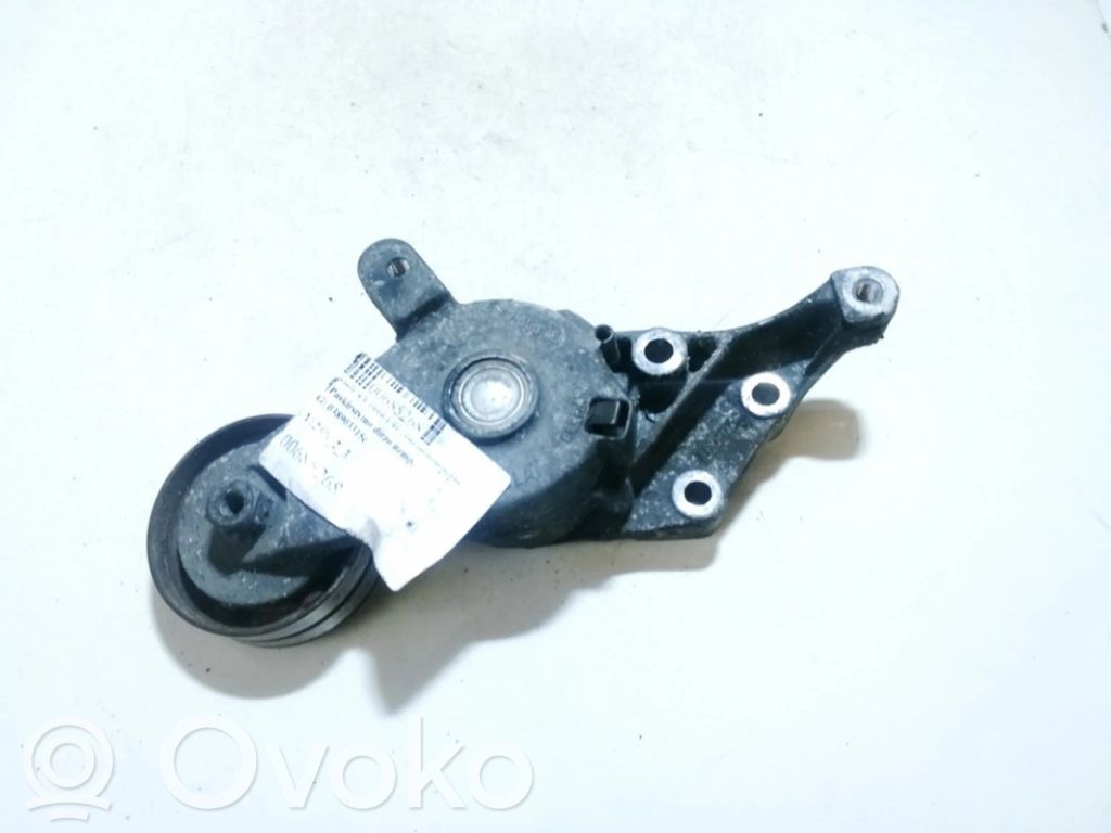 Audi A3 S3 8L Întinzător curea generator/alternator 