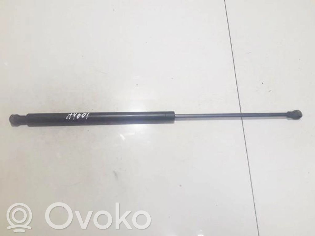 Citroen C5 Ammortizzatore portellone anteriore/cofano 