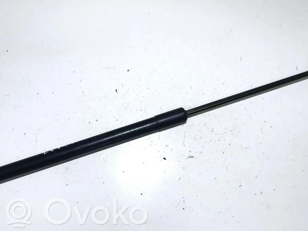 Mercedes-Benz A W169 Amortyzator klapy tylnej bagażnika 