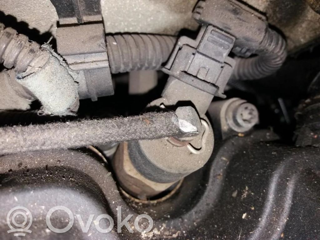 Inyector de combustible   0445110068,0445110068