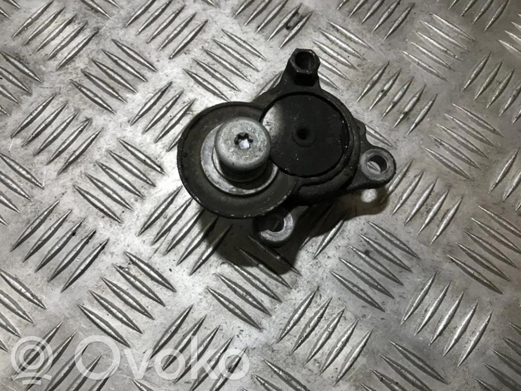 Rover 25 Diržo įtempėjas 