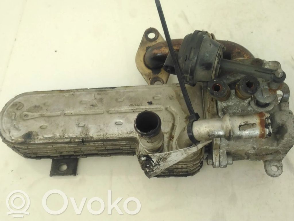 Válvula EGR   038131513J,038131513J