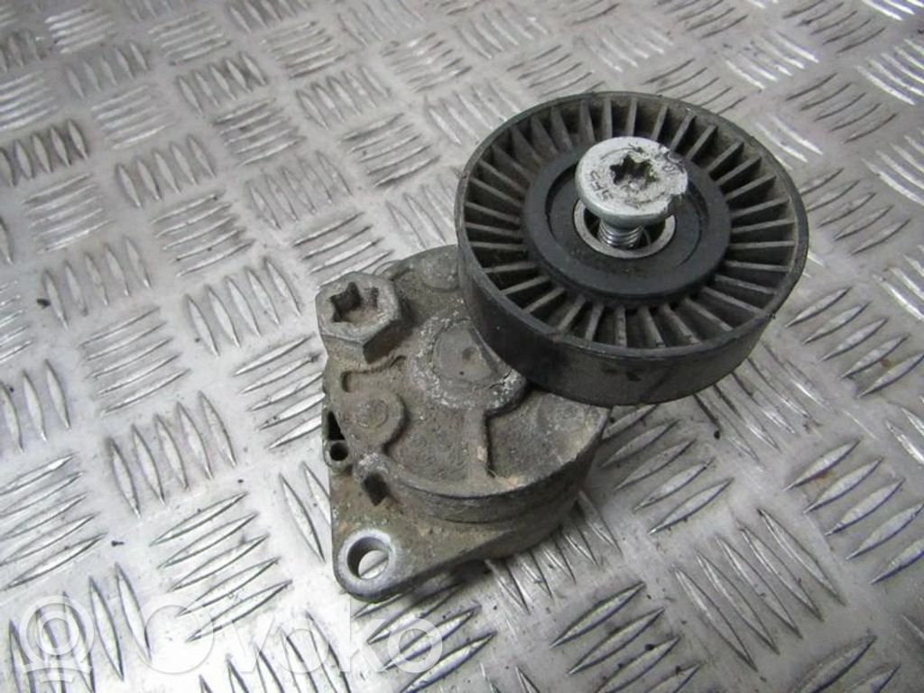 KIA Carnival Tendicinghia generatore/alternatore 