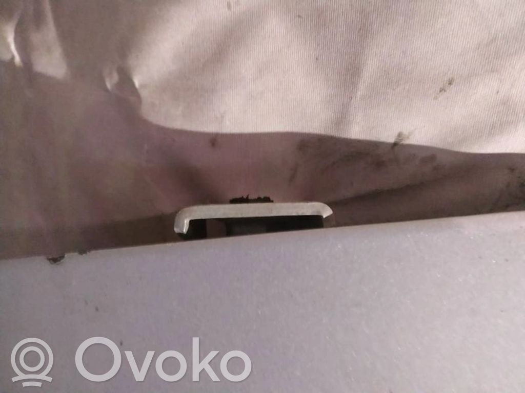 Tailgate/trunk/boot hinge