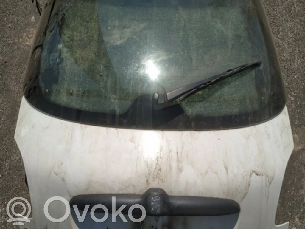 Peugeot 206 Portellone posteriore/bagagliaio 