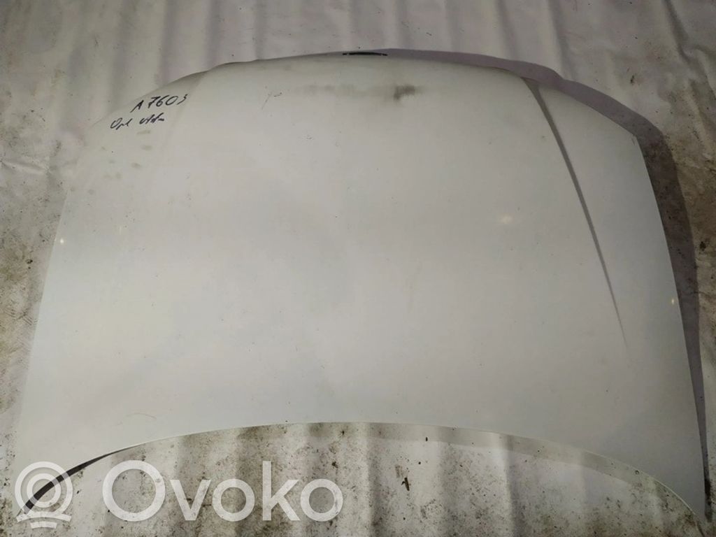 Opel Astra G Dangtis variklio (kapotas) 