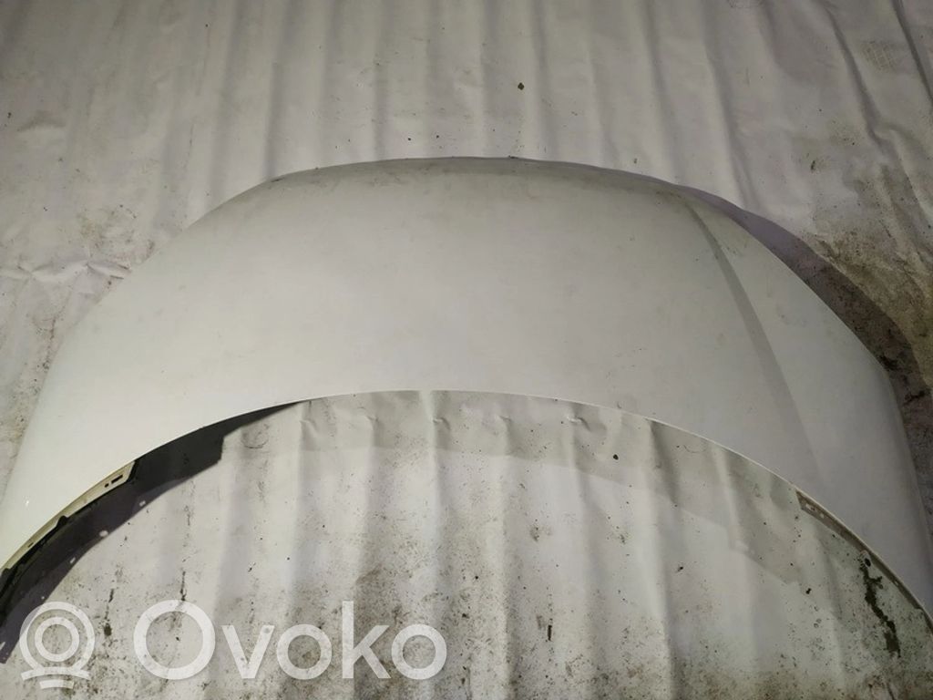 Couvercle, capot moteur   BALTAS,BALTAS