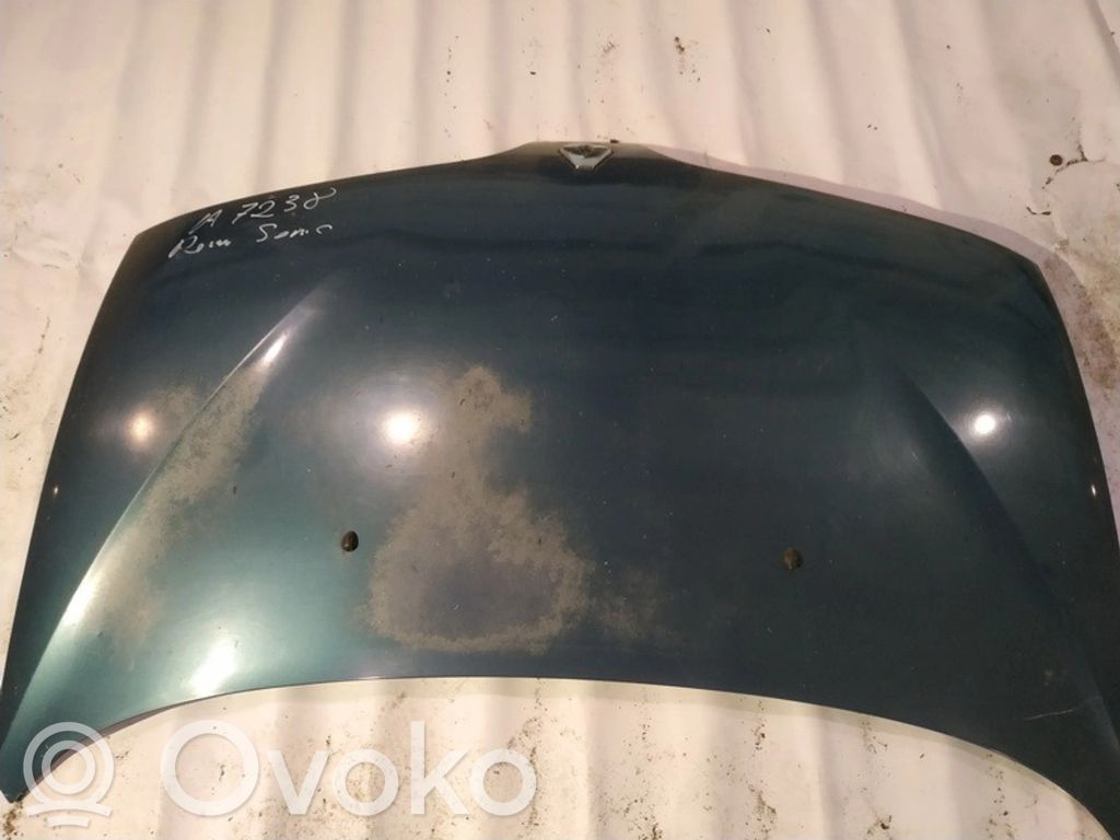 Renault Scenic I Konepelti 