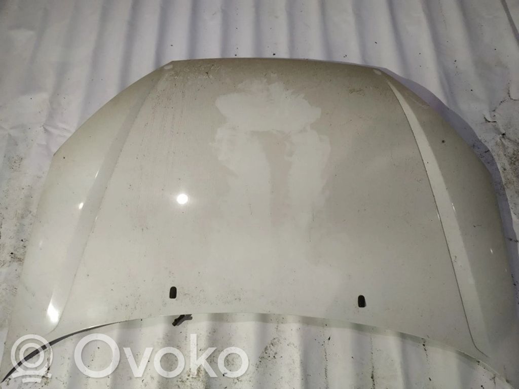 Ford Focus Dangtis variklio (kapotas) 