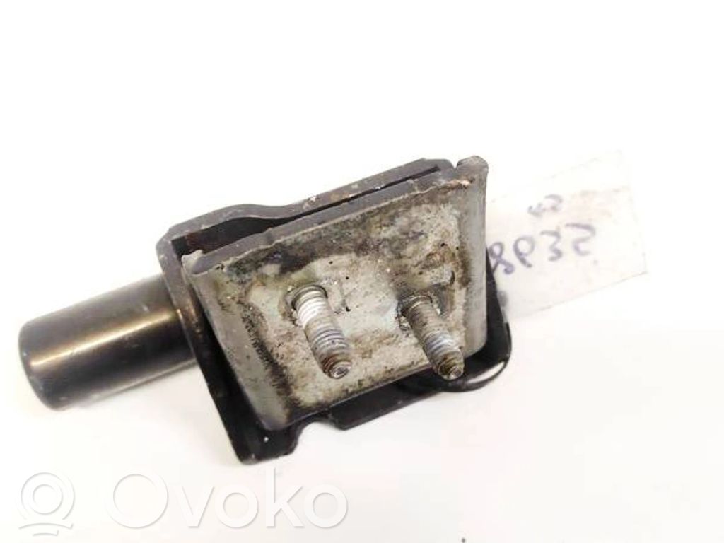 Renault Modus Rear door lower hinge 