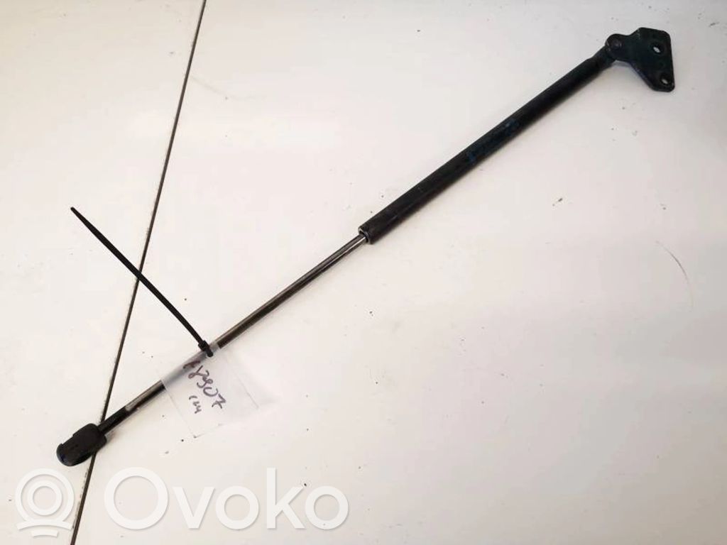 Ford Focus C-MAX Ammortizzatore portellone posteriore/bagagliaio
