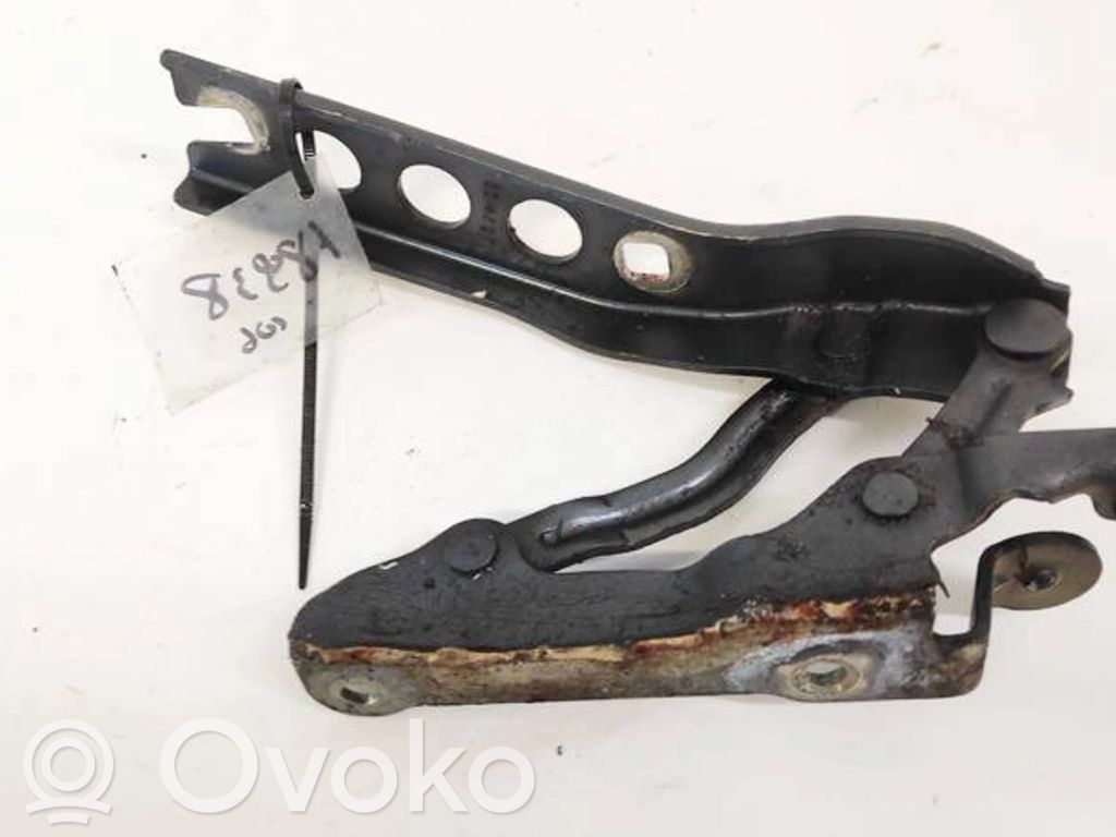 Skoda Octavia Mk2 (1Z) Cerniere del vano motore/cofano