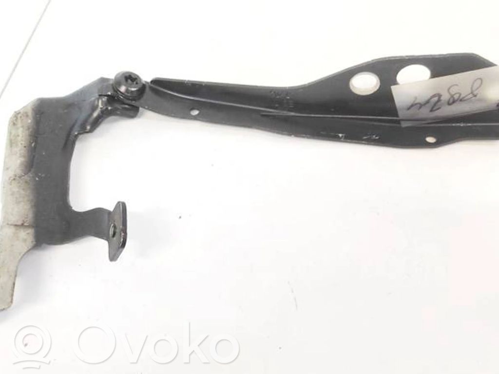 Volvo V50 Cerniere del vano motore/cofano