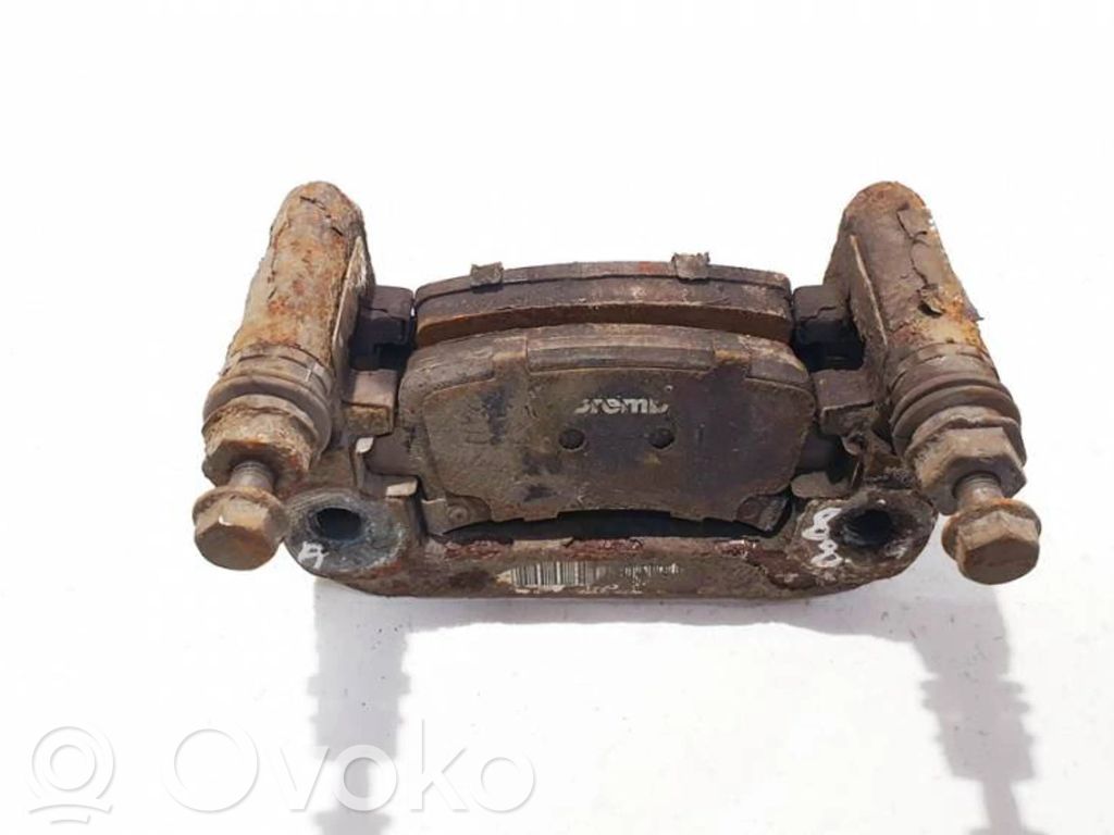 Takajarrusatula   6602RH,6602RH