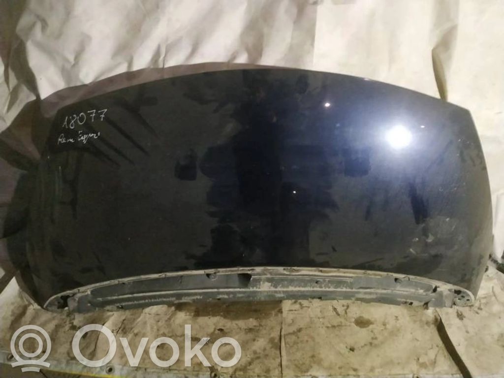 Motorhaube   MELYNAS,MELYNAS