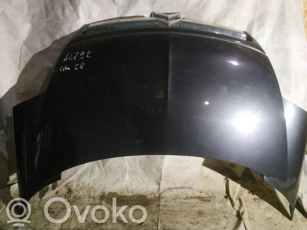 Vano motore/cofano   JUODAS,JUODAS