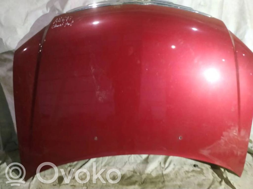Vano motore/cofano   RAUDONAS,RAUDONAS