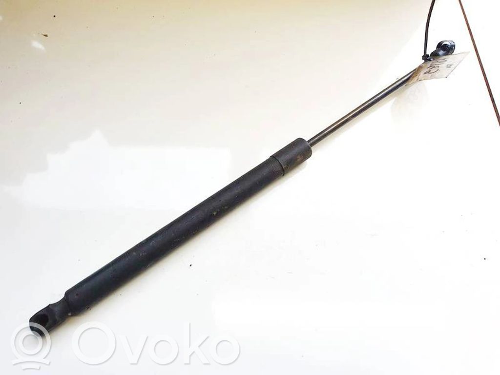 Audi Q7 4L Ammortizzatore portellone posteriore/bagagliaio 