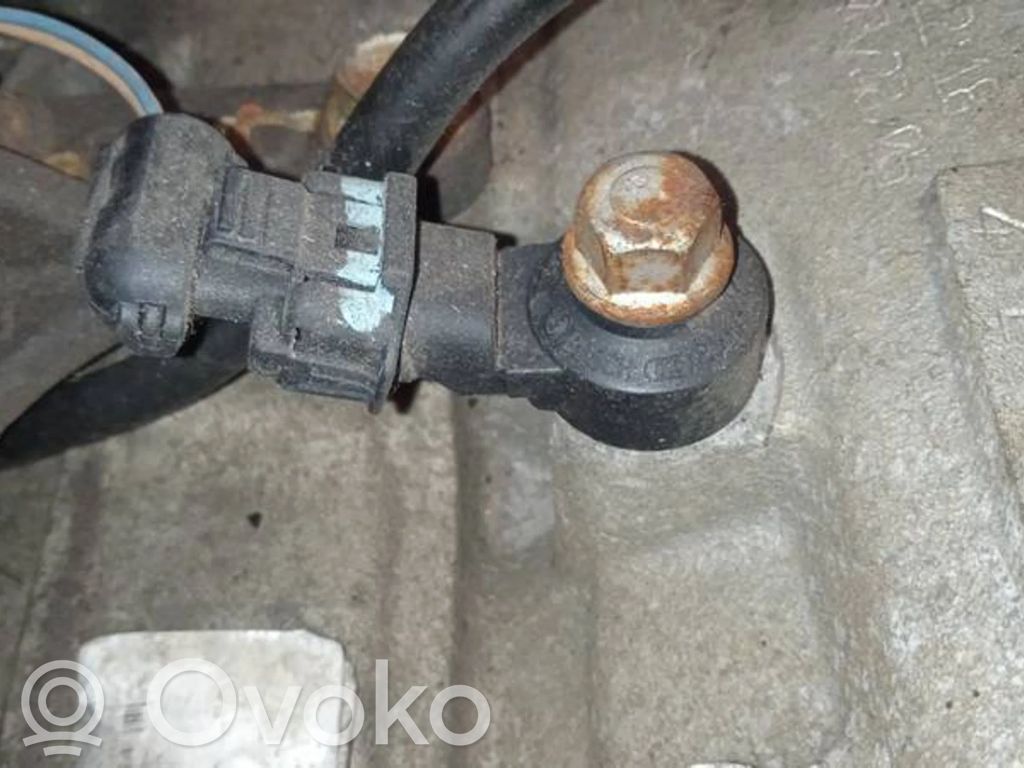 Klopfsensor   0261231174,0261231174