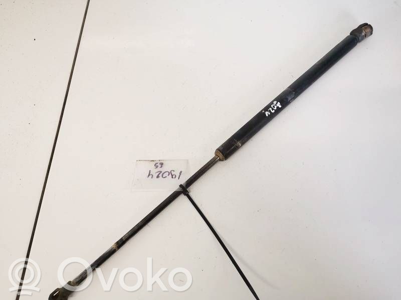Volkswagen Golf IV Ammortizzatore portellone posteriore/bagagliaio