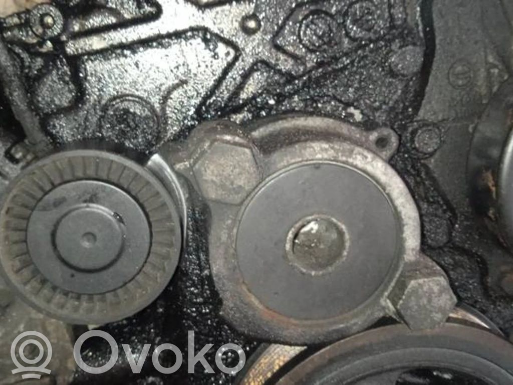 Toyota Corolla Verso AR10 Întinzător curea generator/alternator 