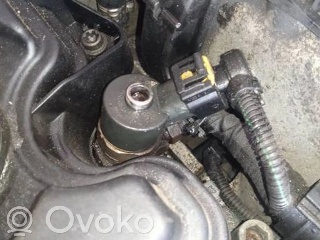 Inyector de combustible   0445110165,0445110165