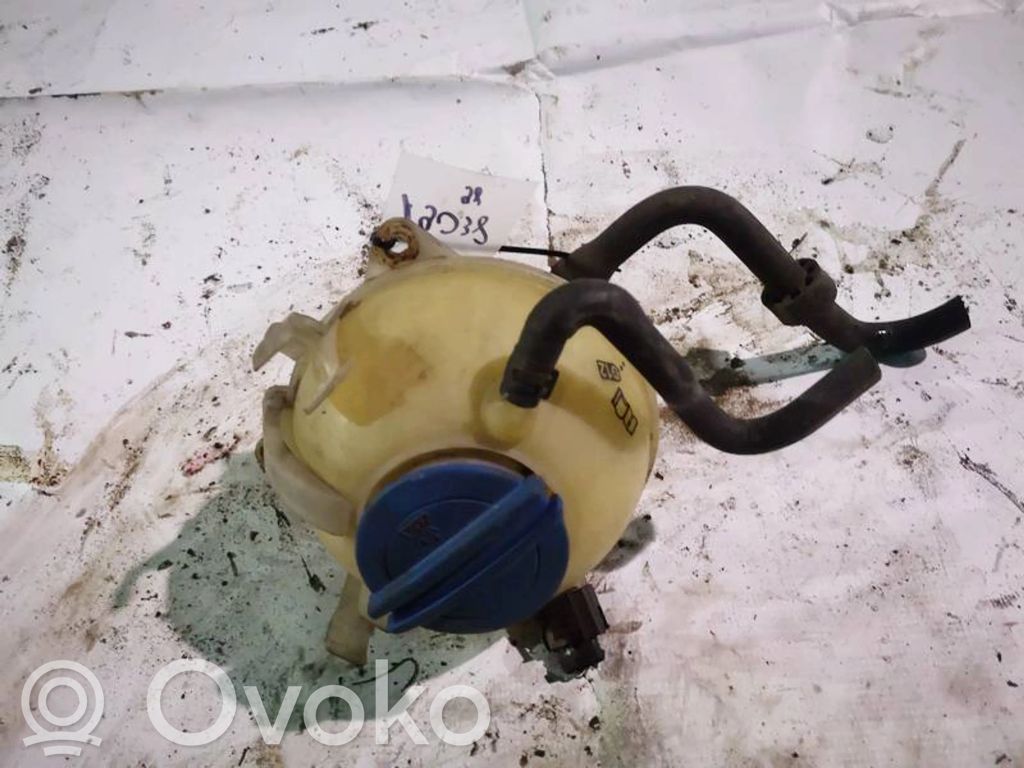 Volkswagen PASSAT B6 Serbatoio di compensazione del liquido refrigerante/vaschetta
