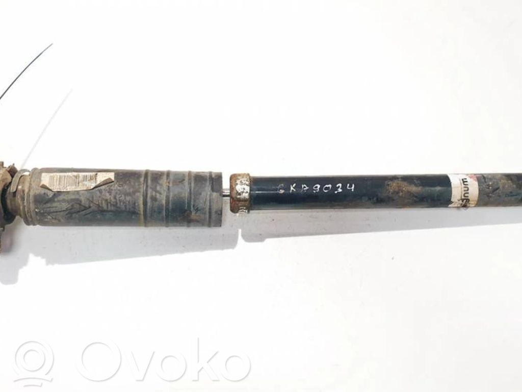 Fiat Punto (188) Amortisseur arrière 