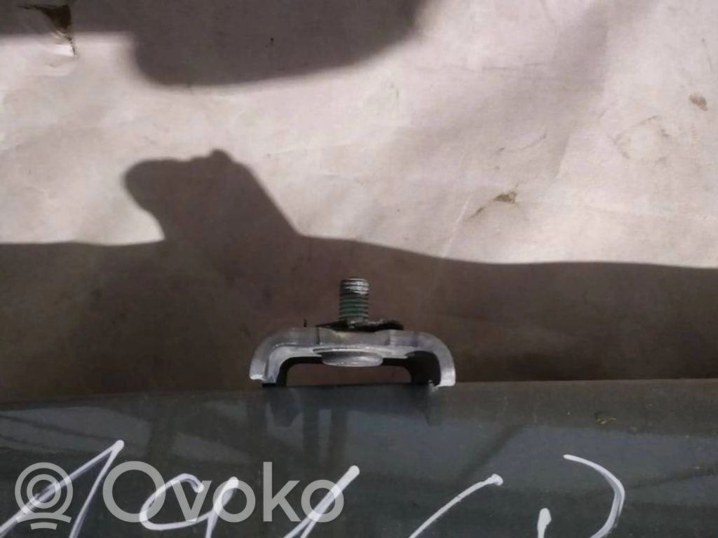 Tailgate/trunk/boot hinge