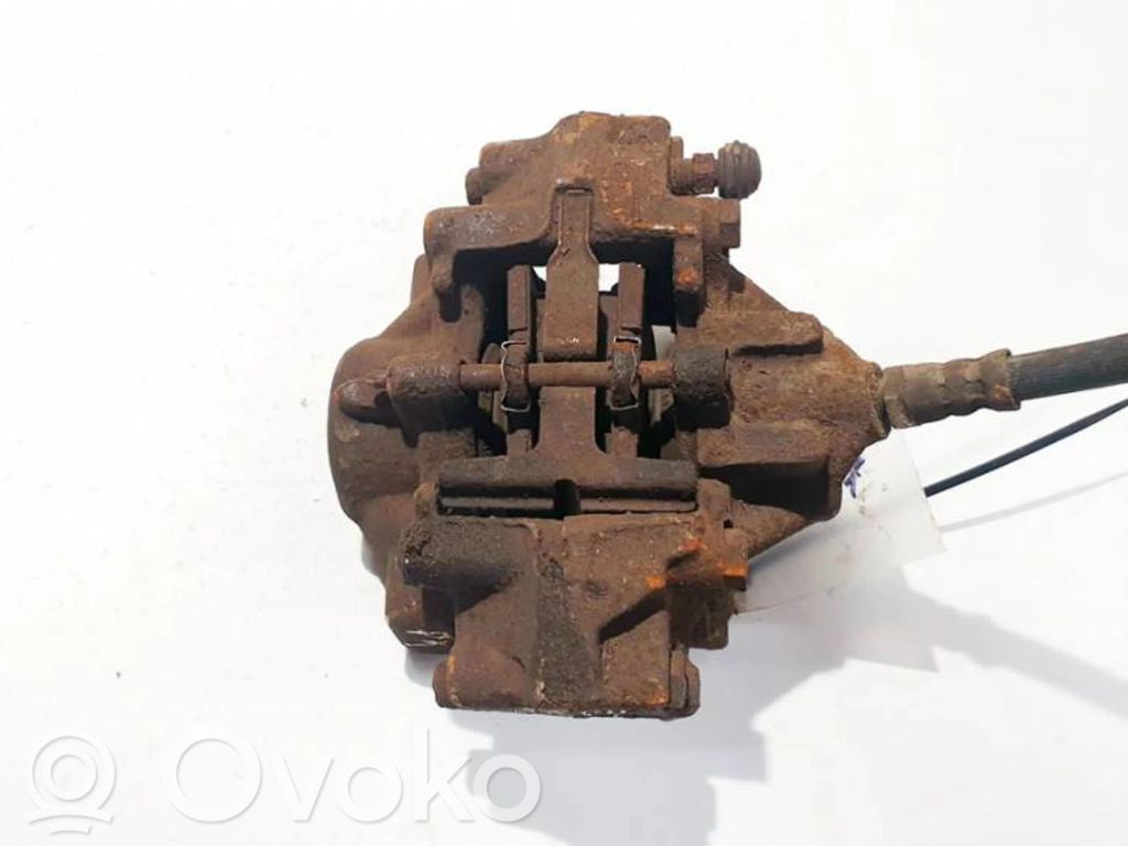 Takajarrusatula   36278,36278